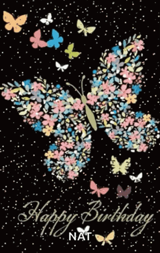 Happy Birthday Friend Butterfly Starry Night GIF