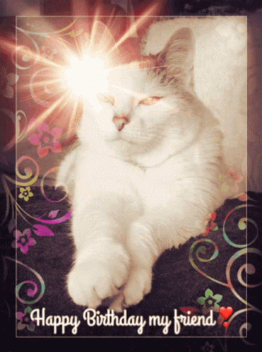 Happy Birthday Friend Drowsy Cat GIF