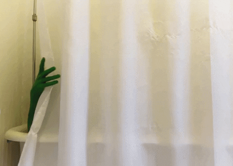 Happy Birthday From Shrek GIF