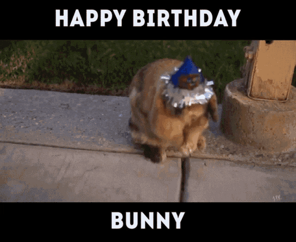 Happy Birthday Funny Bunny Hate Party Hat GIF