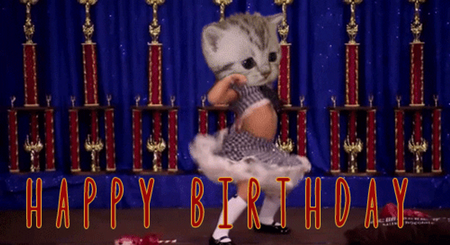 Happy Birthday Funny Cat Head Human Dancing GIF