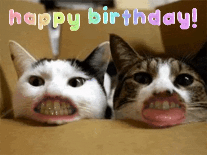 Happy Birthday Funny Cat Lips GIF