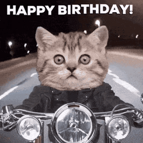 Happy Birthday Funny Cat Riding Motorbike GIF
