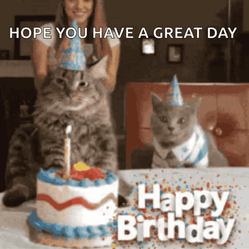 Happy Birthday Funny Goat GIF GIFDB