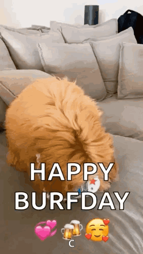 Happy Birthday Funny Dog With Tag GIF