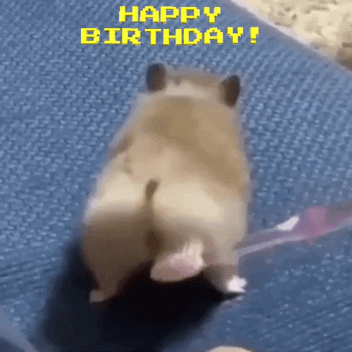 Happy Birthday Funny Hamster Toothbrush Booty Poke GIF