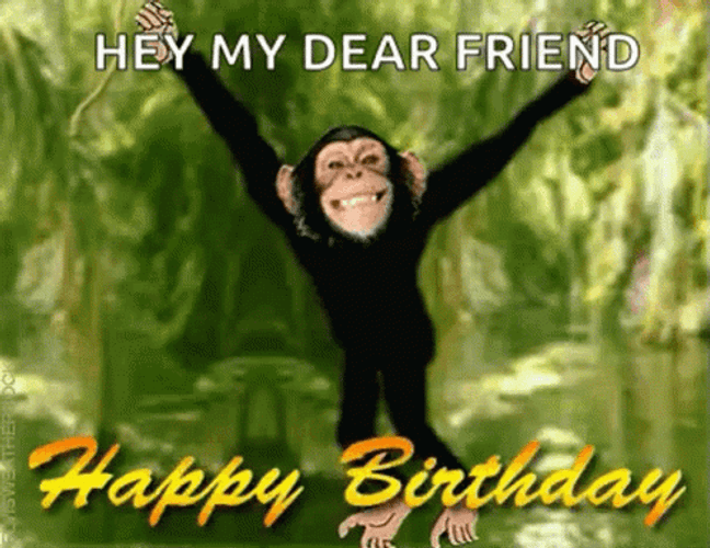 Happy Birthday Funny Swinging Monkey GIF