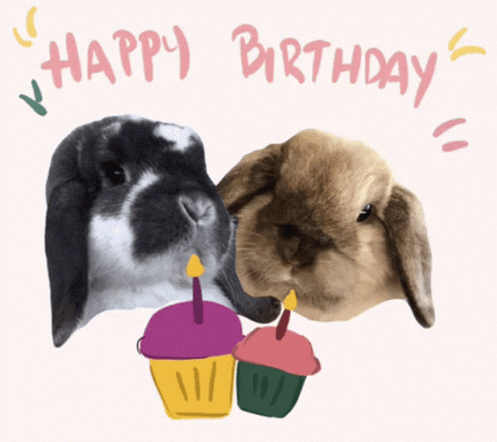 Happy Birthday Greeting Animal Bunnies Cupcake GIF