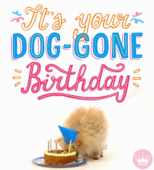 Happy Birthday Greeting Animal Dog Eating Cake GIF