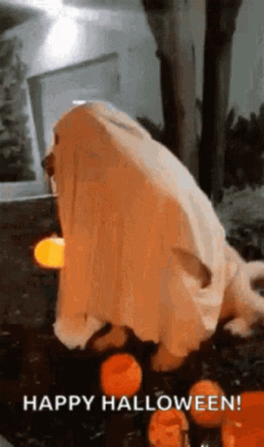 Happy Birthday Halloween Ghost Dog Fire GIF