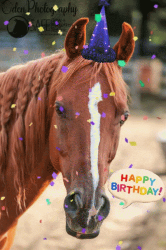 Happy Birthday Horse Confetti Party Hat GIF