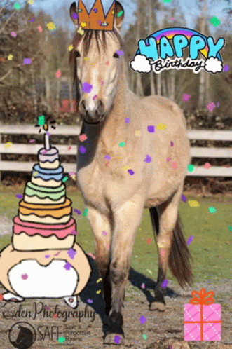 Happy Birthday Horse Cute Horse Crown Cake GIF
