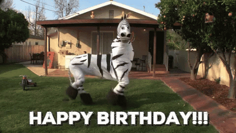 Happy Birthday Horse Zebra Costume Awesome GIF