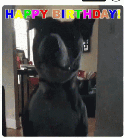 Happy Birthday Jumping Dog GIF