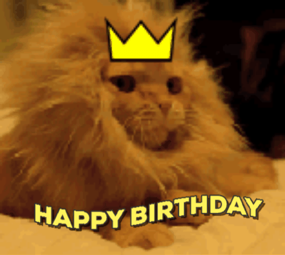 Happy Birthday Lion Cat GIF