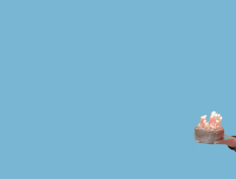 Happy Birthday Man Cute Guy Celebrate With Cake GIF