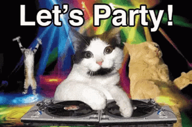 Happy Birthday Party Cat GIF
