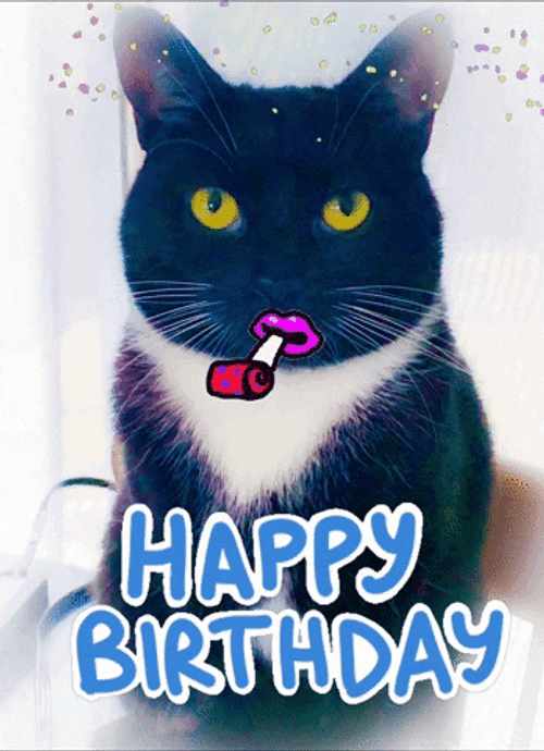 Happy Birthday Party Cat GIF