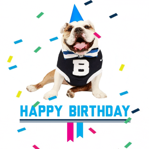 Happy Birthday Puppy With Party Hat And Confetti GIF