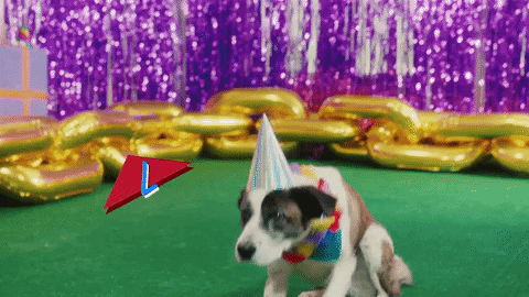 Happy Birthday Puppy With Party Hat Lying GIF