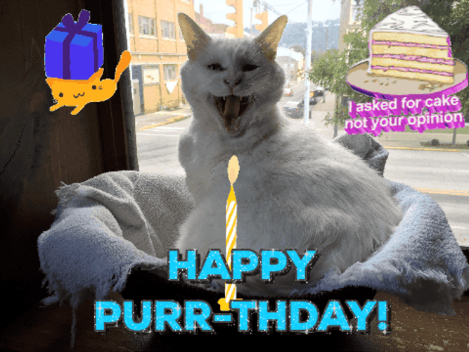 Happy Birthday Sassy Cat GIF