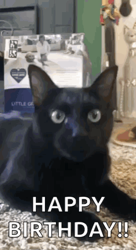 Happy Birthday Sister Funny Meme Angry Black Cat GIF