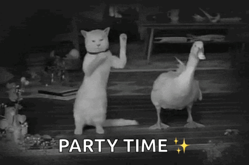 Happy Birthday Sister Funny Meme Cat Duck Dancing GIF