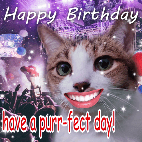 Happy Birthday Sister Funny Meme Cat Human Lips GIF