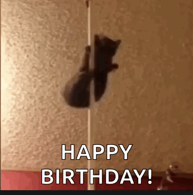 Happy Birthday Sister Funny Meme Cat Pole Dancing GIF