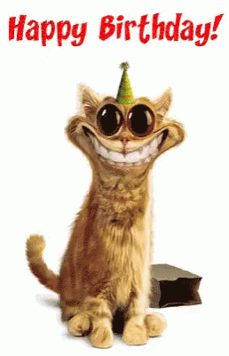 Happy Birthday Sister Funny Meme Grinning Cat GIF