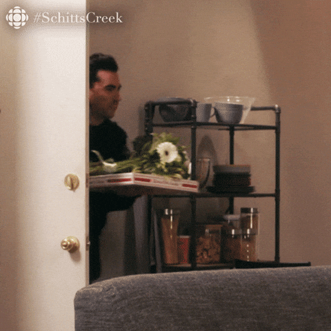 Happy Birthday Sister In Law Funny David Rose Meme GIF