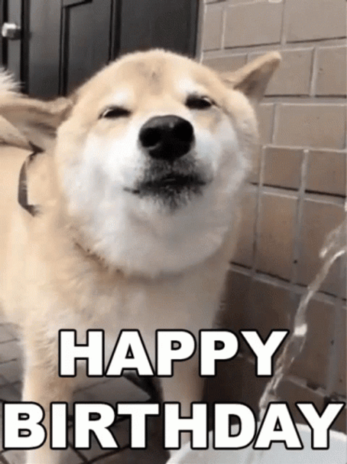 Happy Birthday Smiling Shiba Inu Dog GIF
