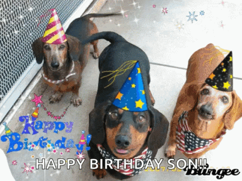Happy Birthday Three Cute Dachshund GIF