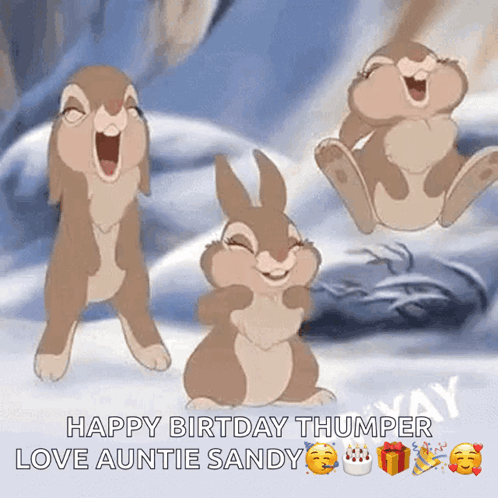 Happy Birthday Thumper Love Auntie GIF