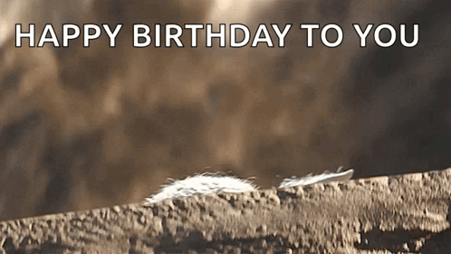 Happy Birthday To You Message With Feather