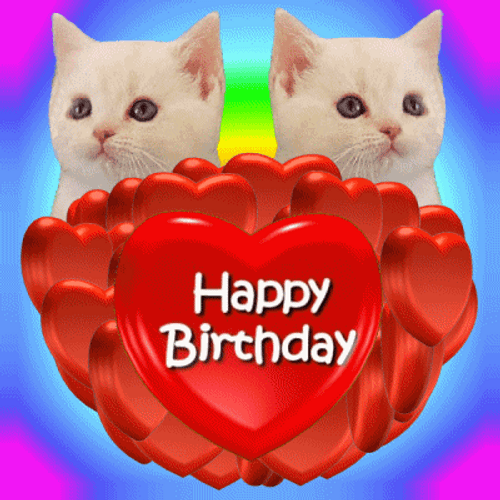 Happy Birthday Twin Cats GIF