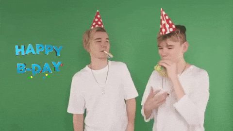 Happy Birthday Twins Party Blow GIF