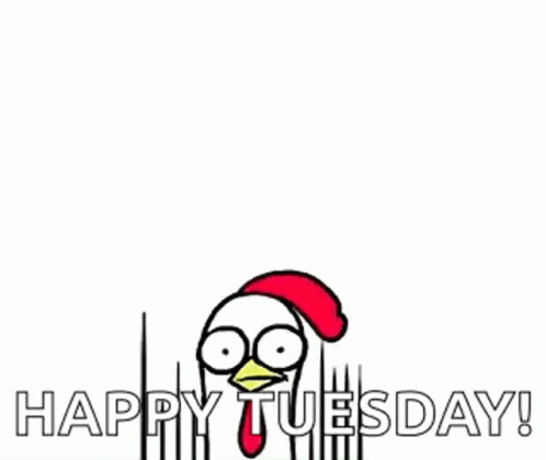 Happy Blessed Tuesday Google Eyed Chickens GIF