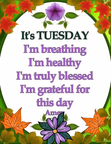 Happy Blessed Tuesday Im Healthy GIF