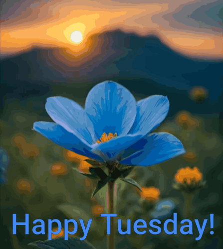 Happy Blessed Tuesday Pretty Blue Flowers GIF
