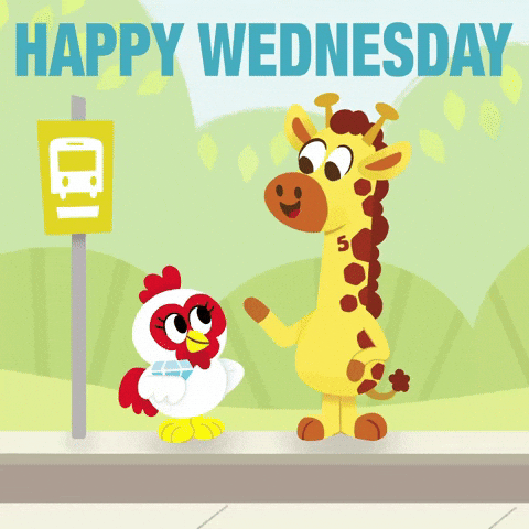 Happy Blessed Wednesday Animal Friends GIF