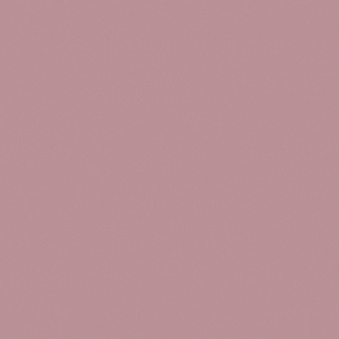 Happy Bosses Day Steaky Notes GIF