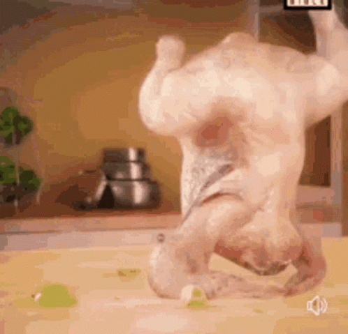 Happy Breakdancing Turkey Meme GIF