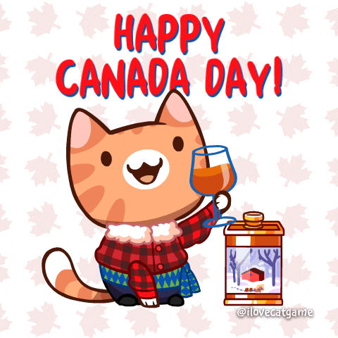 Happy Canada Day Cheers Cat Celebrating GIF