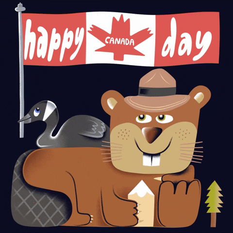 Happy Canada Day Grinning Beaver GIF