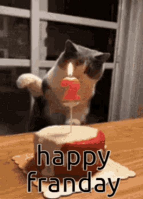 Happy Cat Birthday Cake Candle Blowout GIF