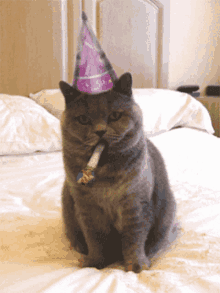 Happy Cat Poker Face Party Horn Celebration GIF
