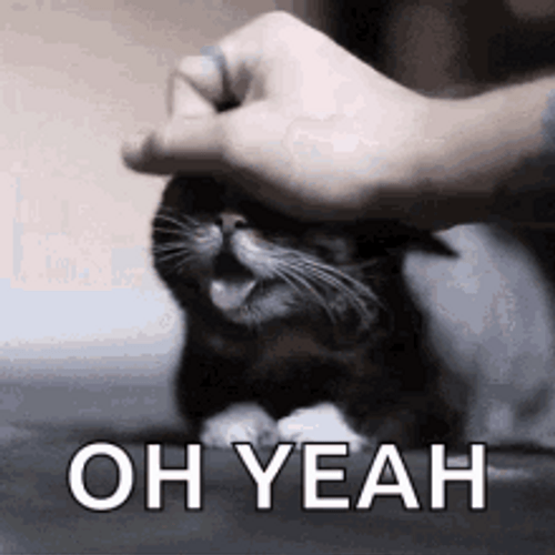 Happy Cat Relaxing Massage Oh Yeah GIF