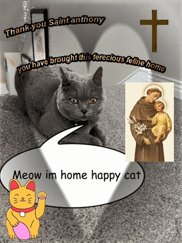 Happy Cat Says Meow I'm Home