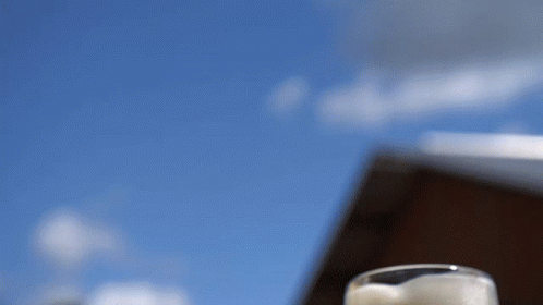 Happy Celebration Beer Mugs Cheers GIF